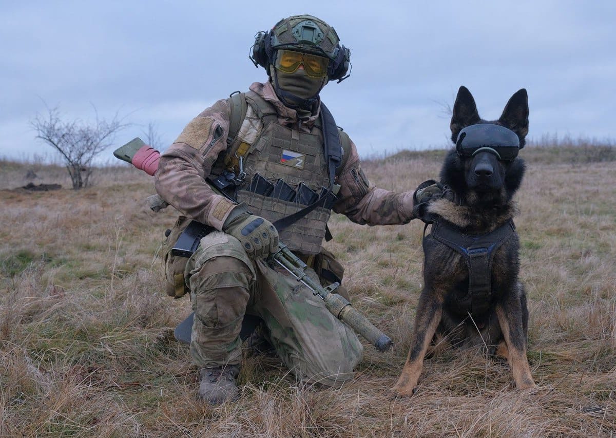 8ccc6eb7-c6b0-4d6e-8ee7-677d35543693