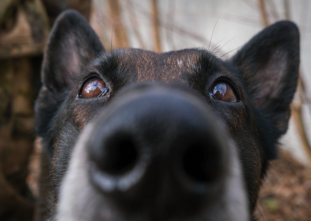 photo_2023-12-18_09-44-42 (2)