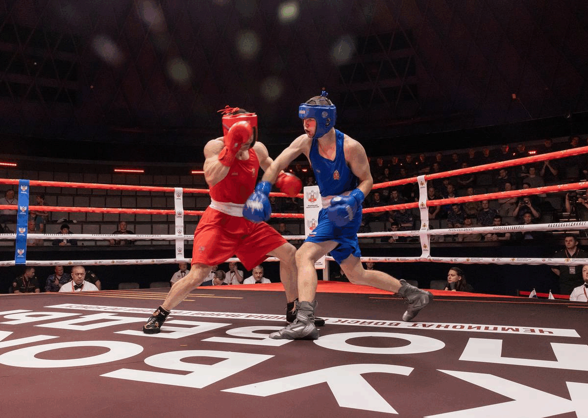 бокс, спорт